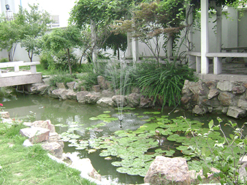 �ڲ�����Ϸ��վˮԴ