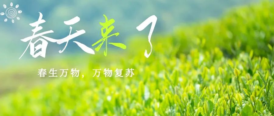 �ڲ�����Ϸ������(�й�)רҵ����,����Ϊ��